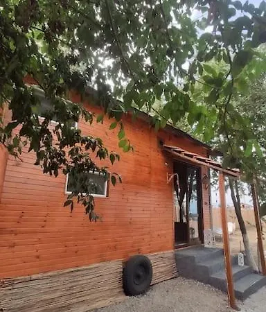 Loya Apartament