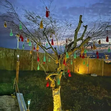 Loya İznik