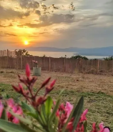Loya * İznik