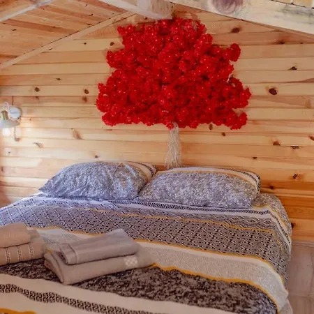 Loya Apartament İznik